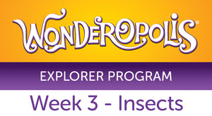 Week 3 - Insects Facilitator Guide - Explorer Program